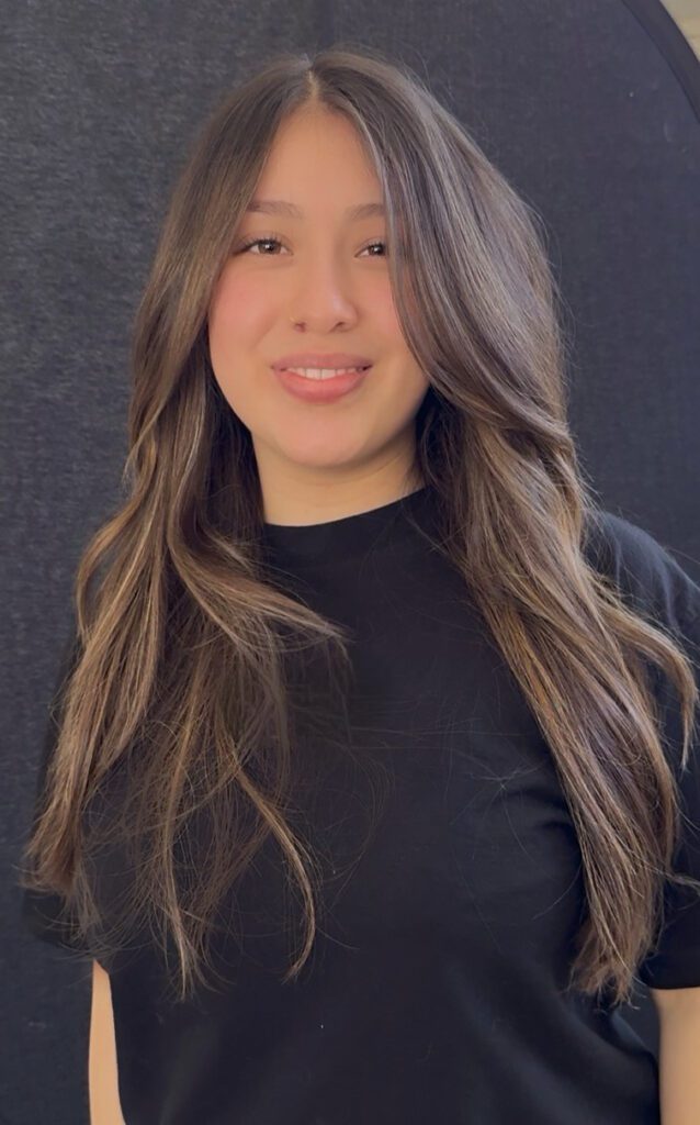 Brunette hair with soft dimensional highlights without bleach - No bleach